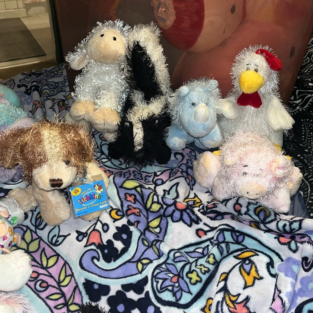 24 Webkinz